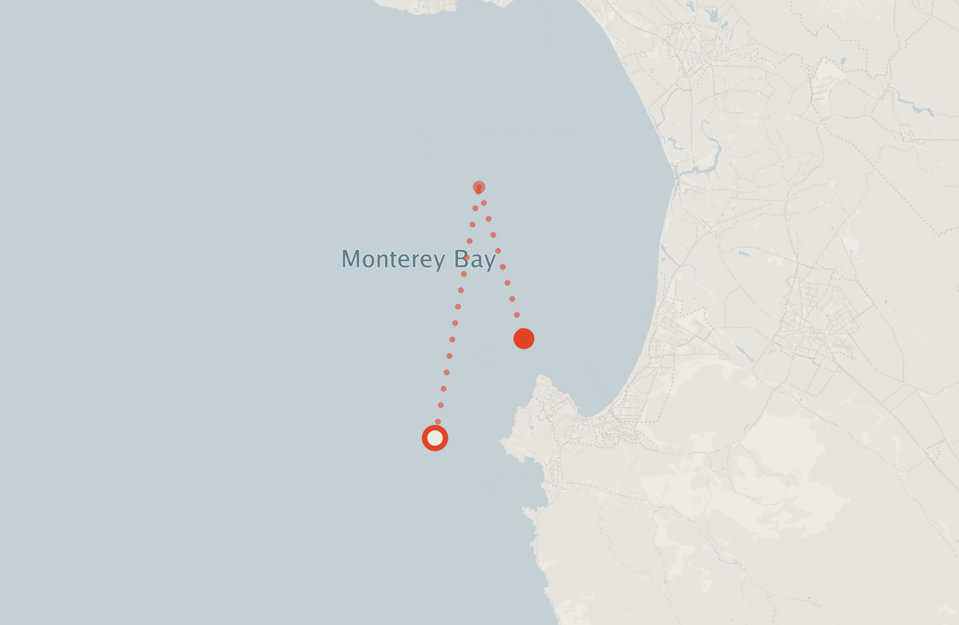 Activity map — real sighting points on an OpenStreetMap basemap