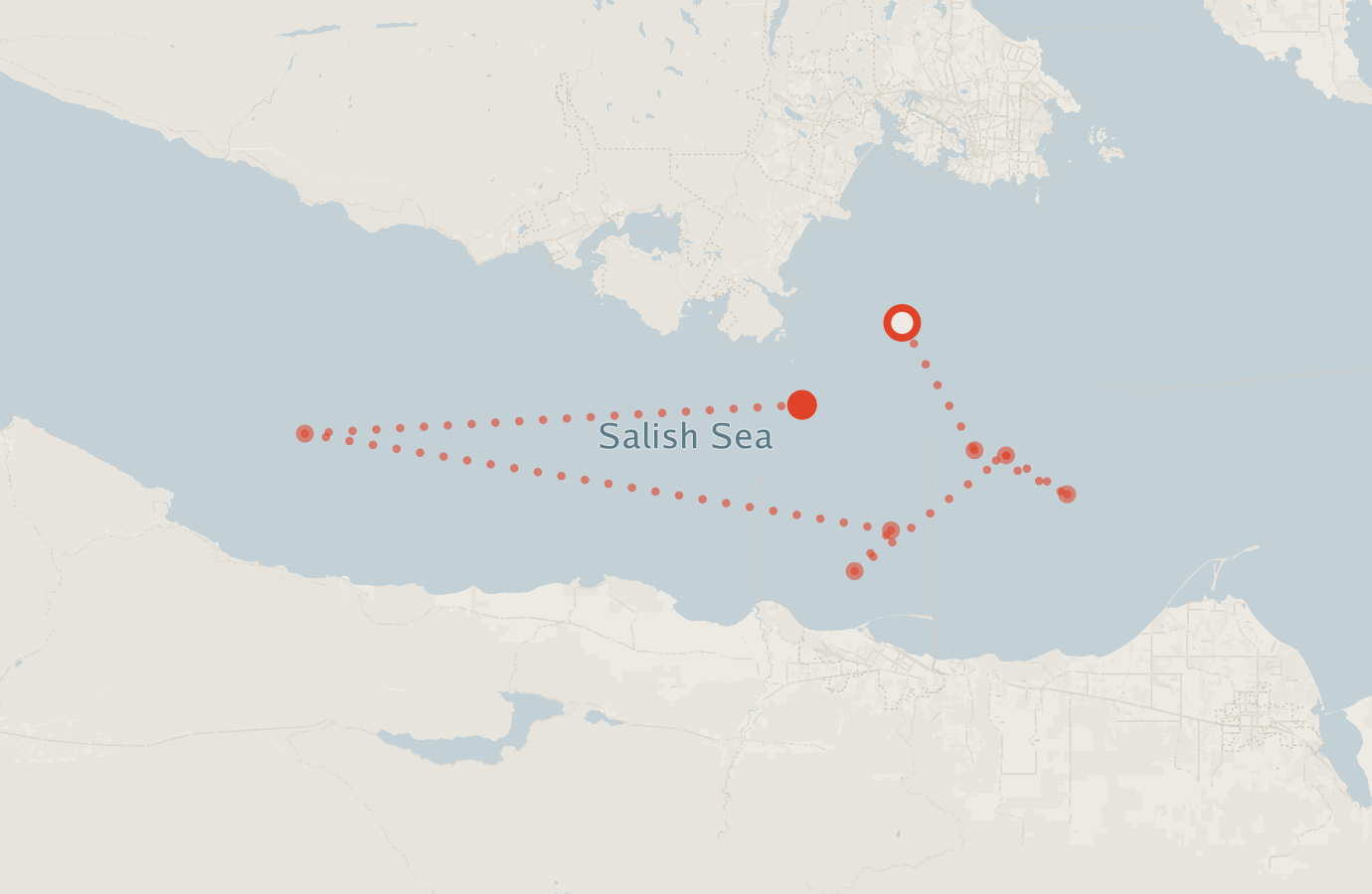 Activity map — real sighting points on an OpenStreetMap basemap