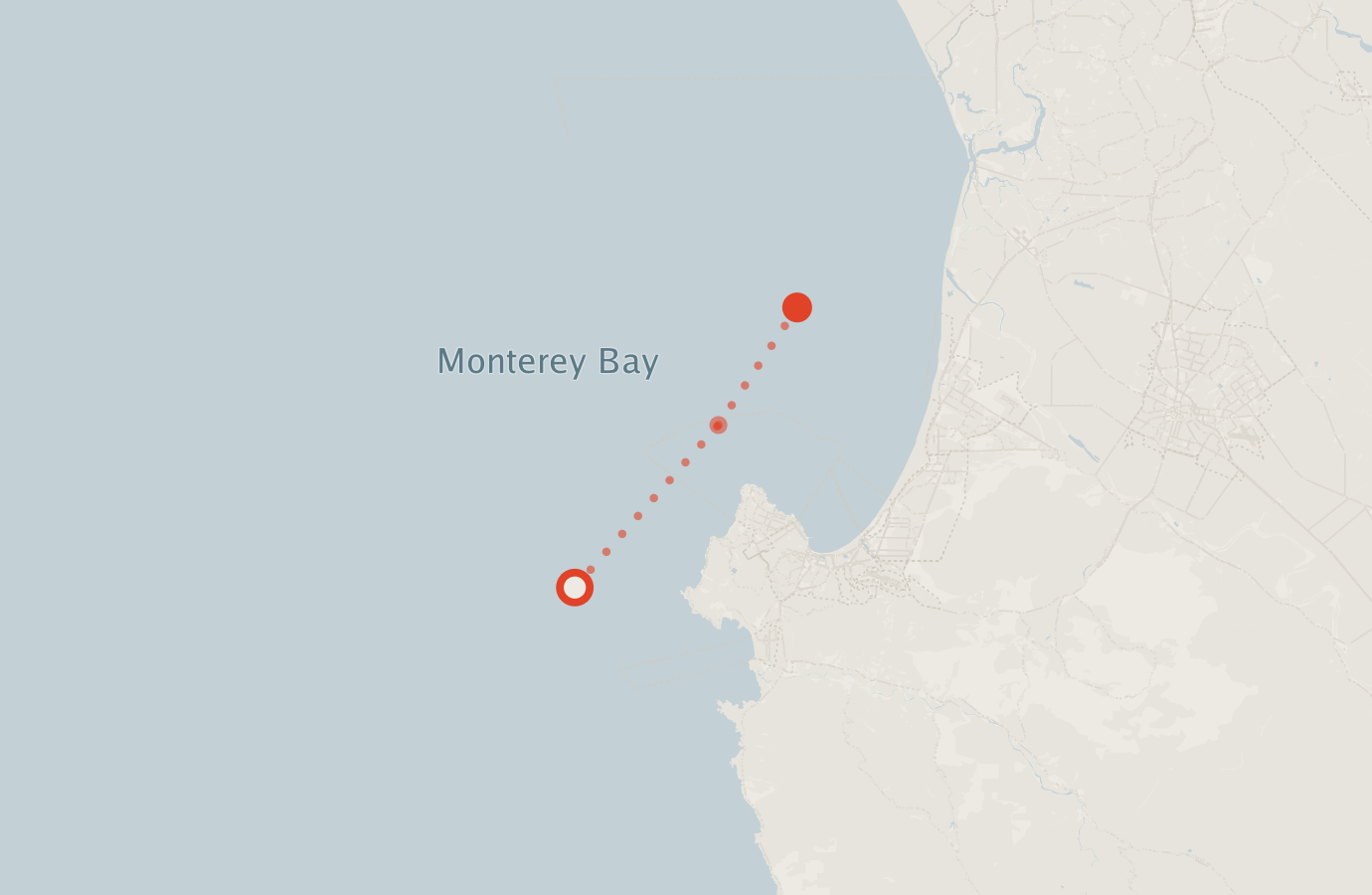 Activity map — real sighting points on an OpenStreetMap basemap