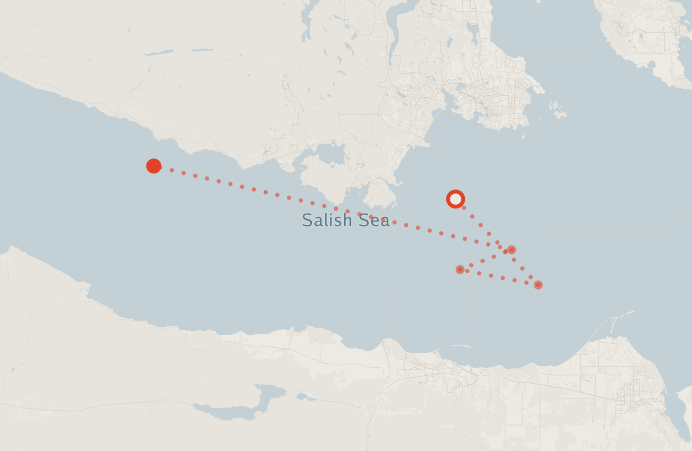 Activity map — real sighting points on an OpenStreetMap basemap