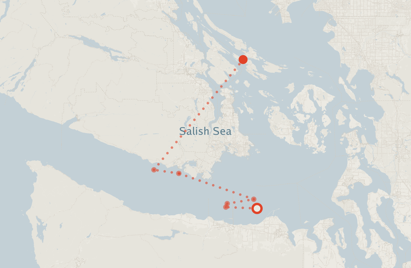 Activity map — real sighting points on an OpenStreetMap basemap