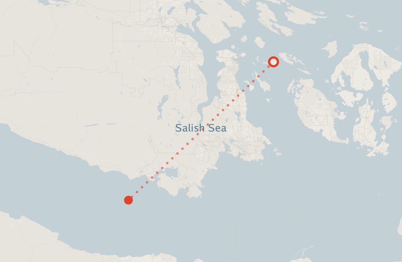 Activity map — real sighting points on an OpenStreetMap basemap