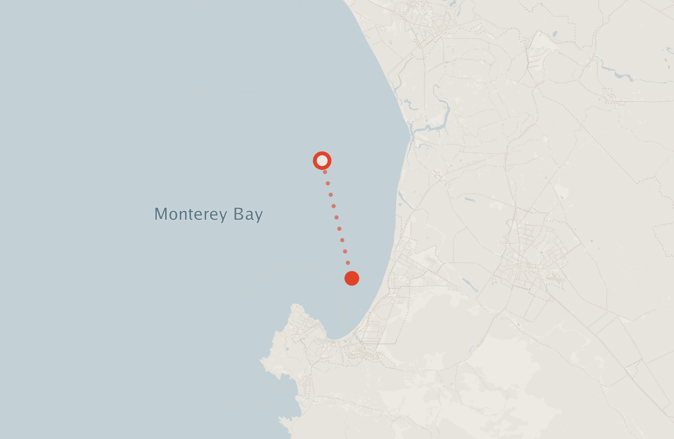 Activity map — real sighting points on an OpenStreetMap basemap