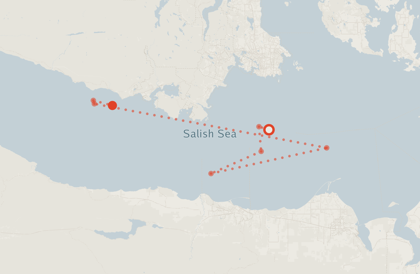 Activity map — real sighting points on an OpenStreetMap basemap
