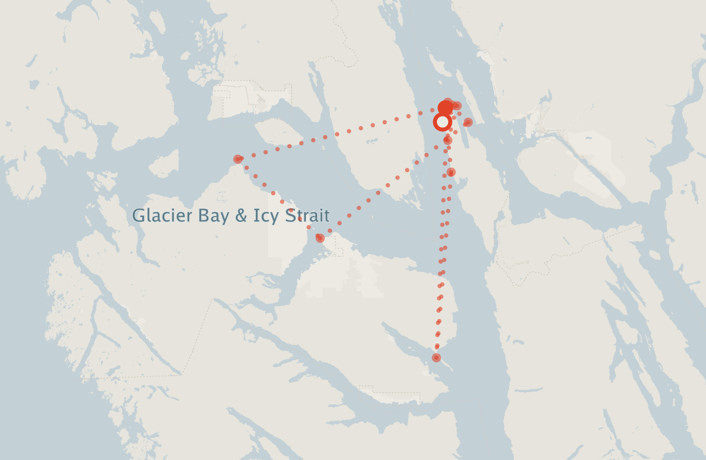 Activity map — real sighting points on an OpenStreetMap basemap
