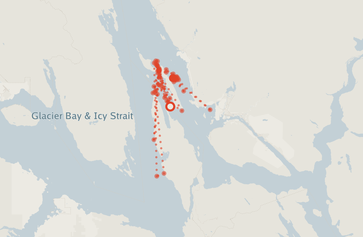 Activity map — real sighting points on an OpenStreetMap basemap