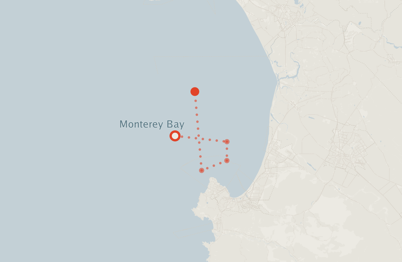 Activity map — real sighting points on an OpenStreetMap basemap