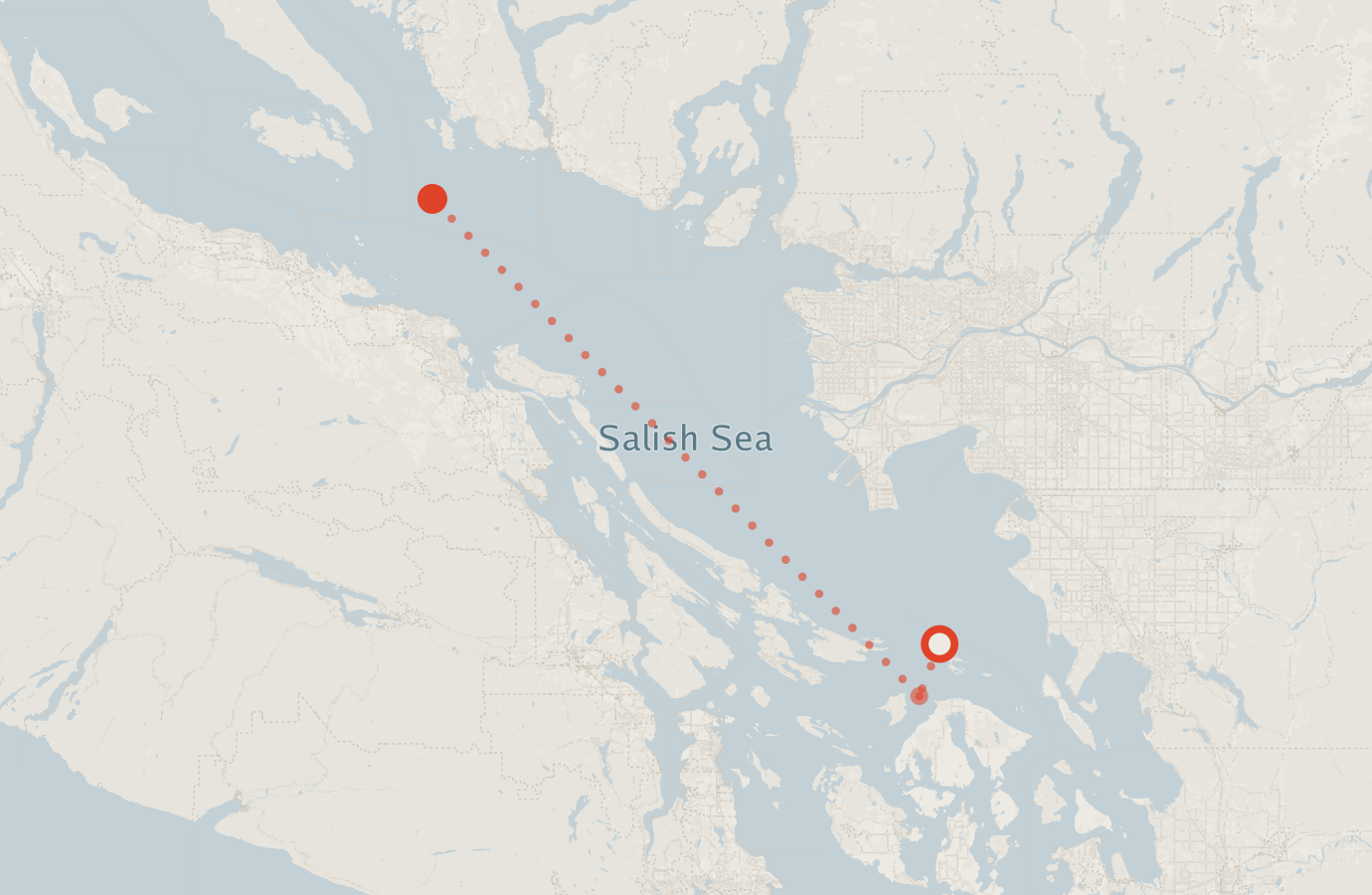 Activity map — real sighting points on an OpenStreetMap basemap