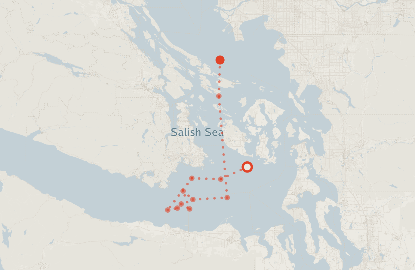 Activity map — real sighting points on an OpenStreetMap basemap