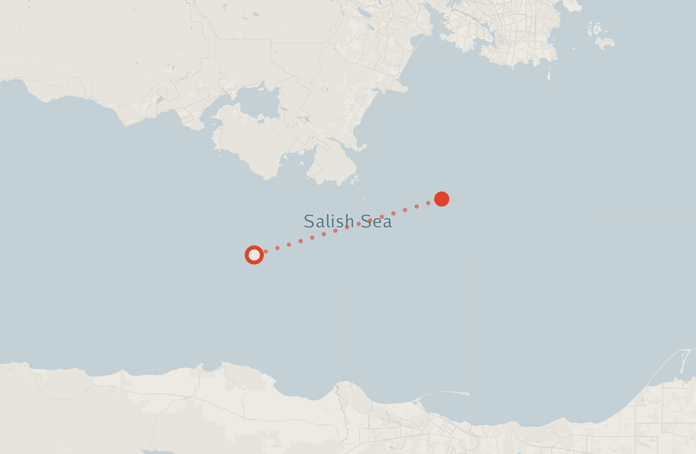 Activity map — real sighting points on an OpenStreetMap basemap