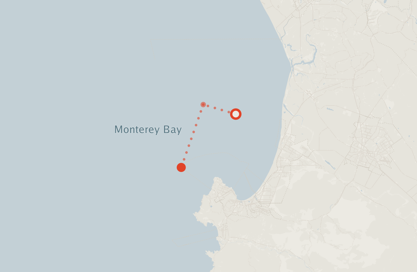 Activity map — real sighting points on an OpenStreetMap basemap