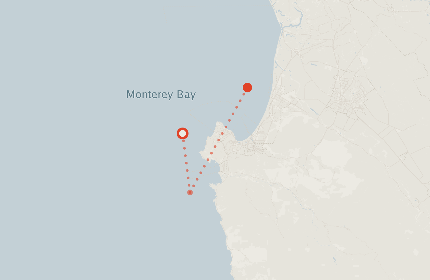 Activity map — real sighting points on an OpenStreetMap basemap