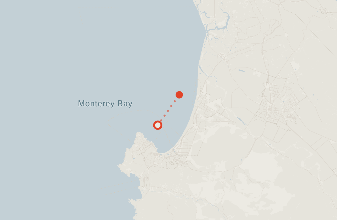 Activity map — real sighting points on an OpenStreetMap basemap