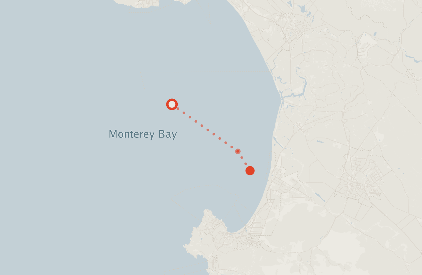 Activity map — real sighting points on an OpenStreetMap basemap