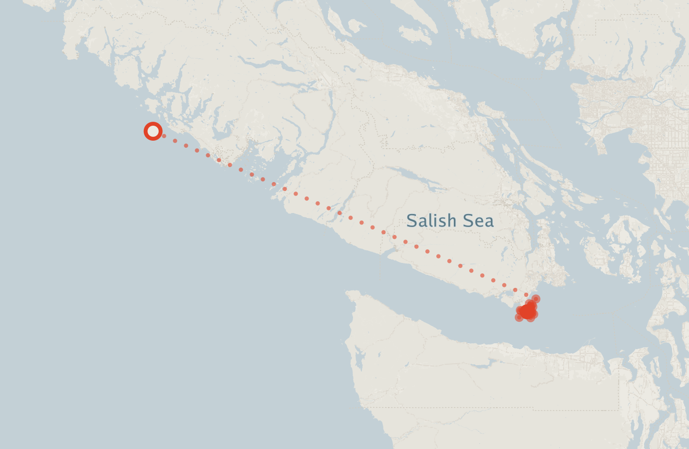 Activity map — real sighting points on an OpenStreetMap basemap