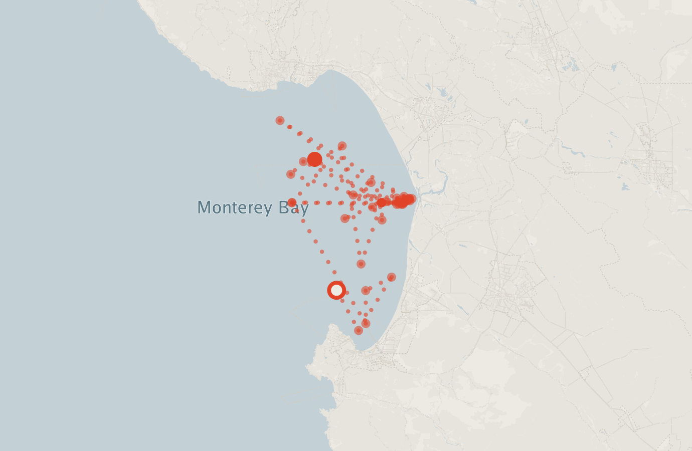 Activity map — real sighting points on an OpenStreetMap basemap