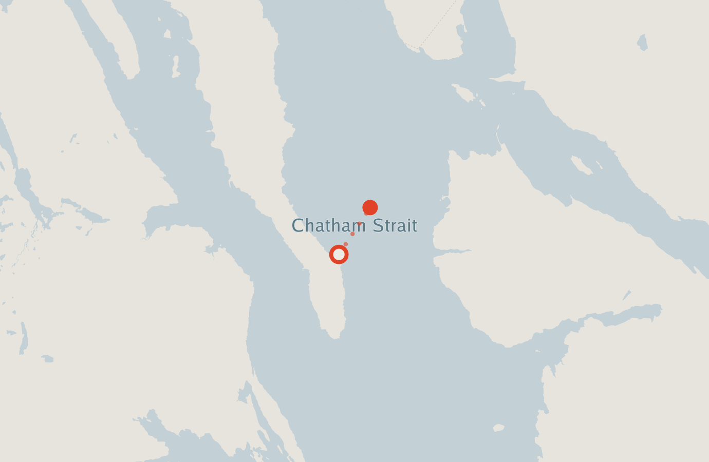 Activity map — real sighting points on an OpenStreetMap basemap
