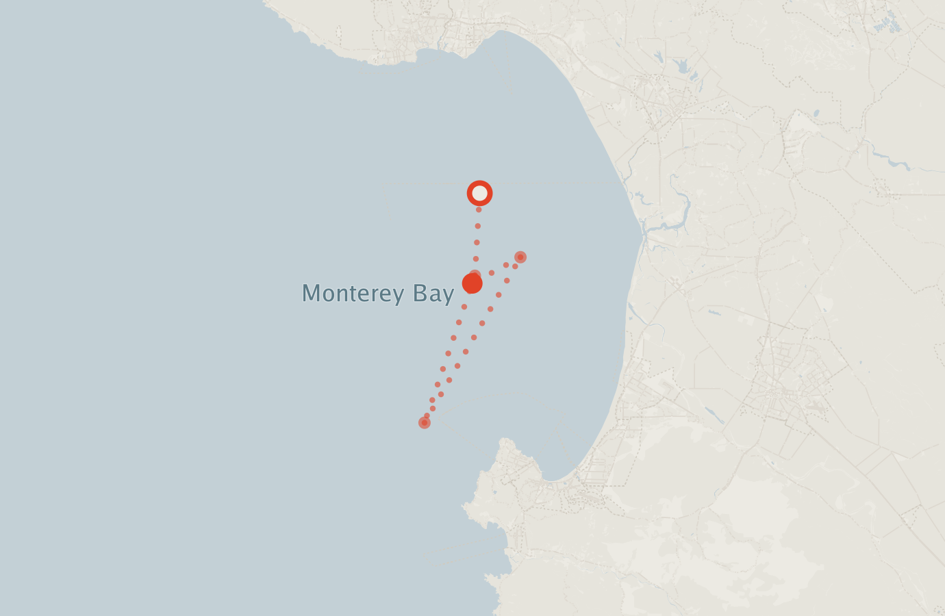 Activity map — real sighting points on an OpenStreetMap basemap