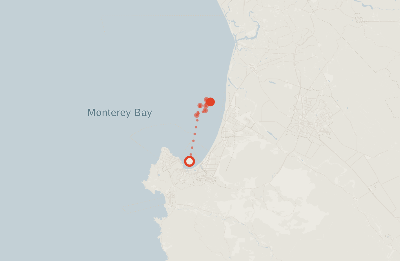 Activity map — real sighting points on an OpenStreetMap basemap