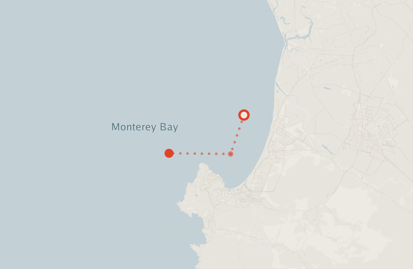 Activity map — real sighting points on an OpenStreetMap basemap
