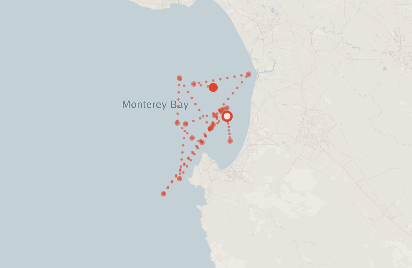 Activity map — real sighting points on an OpenStreetMap basemap