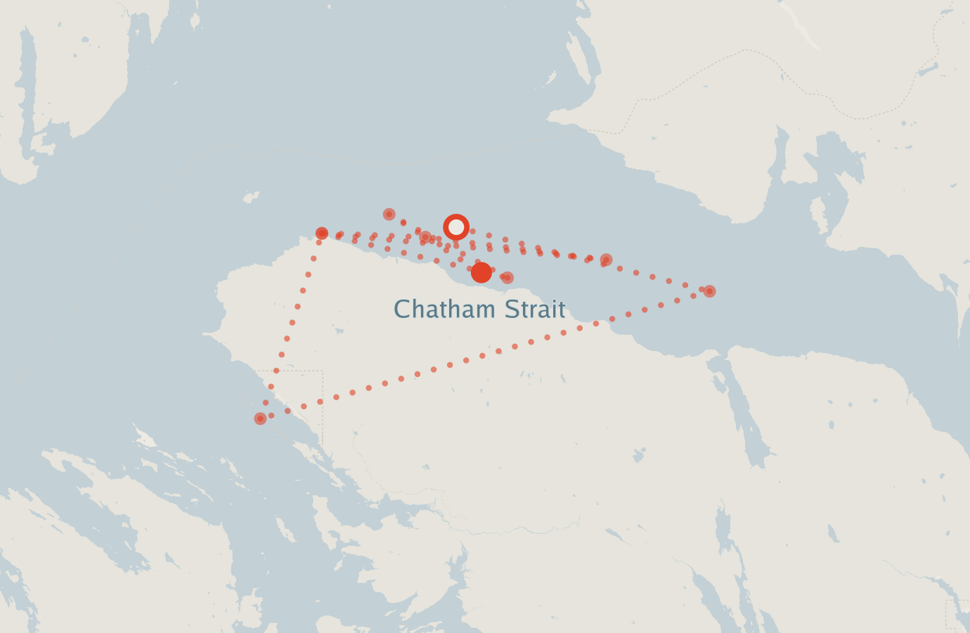 Activity map — real sighting points on an OpenStreetMap basemap