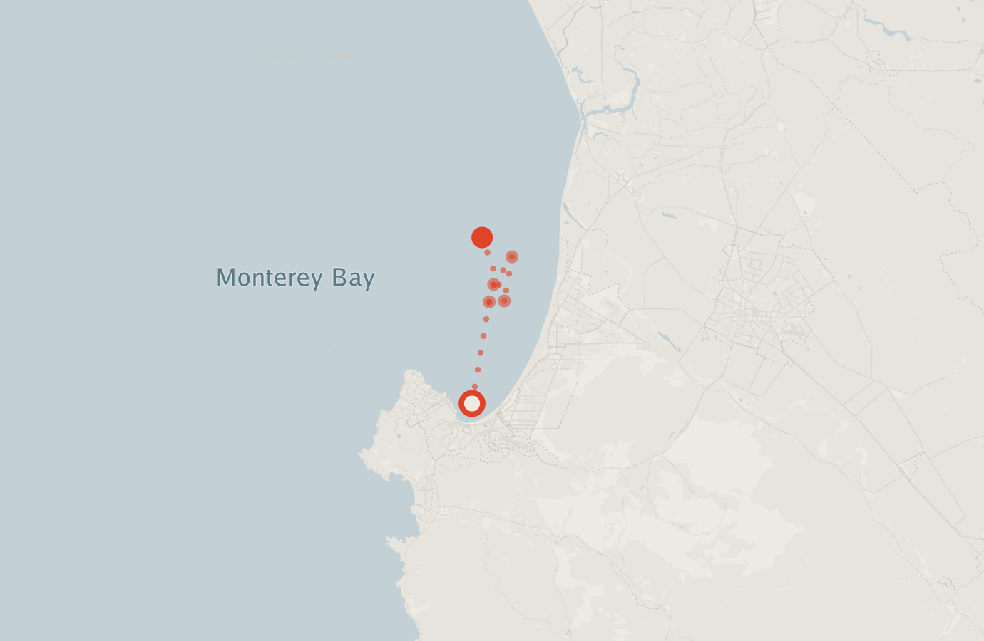 Activity map — real sighting points on an OpenStreetMap basemap