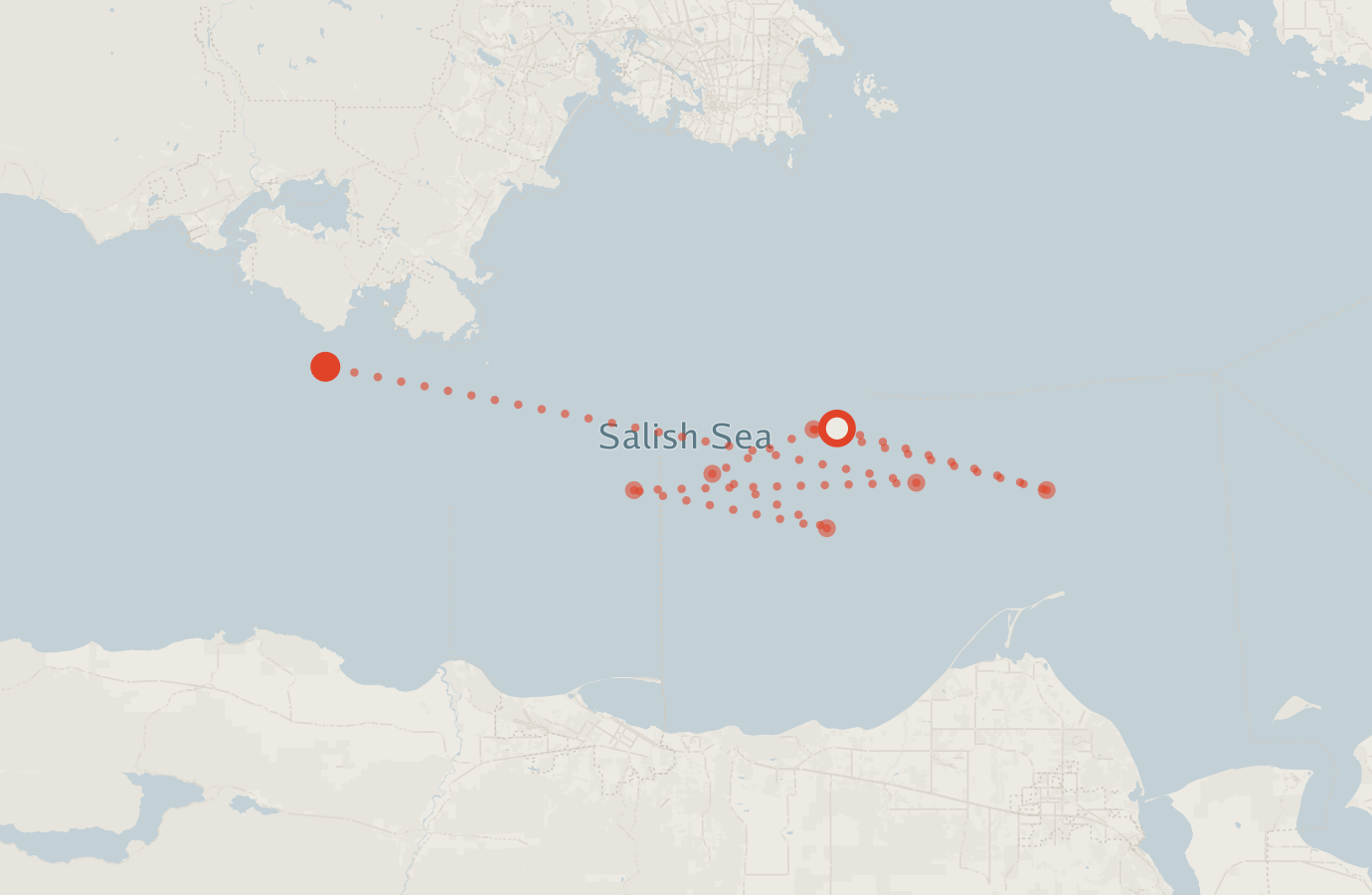 Activity map — real sighting points on an OpenStreetMap basemap