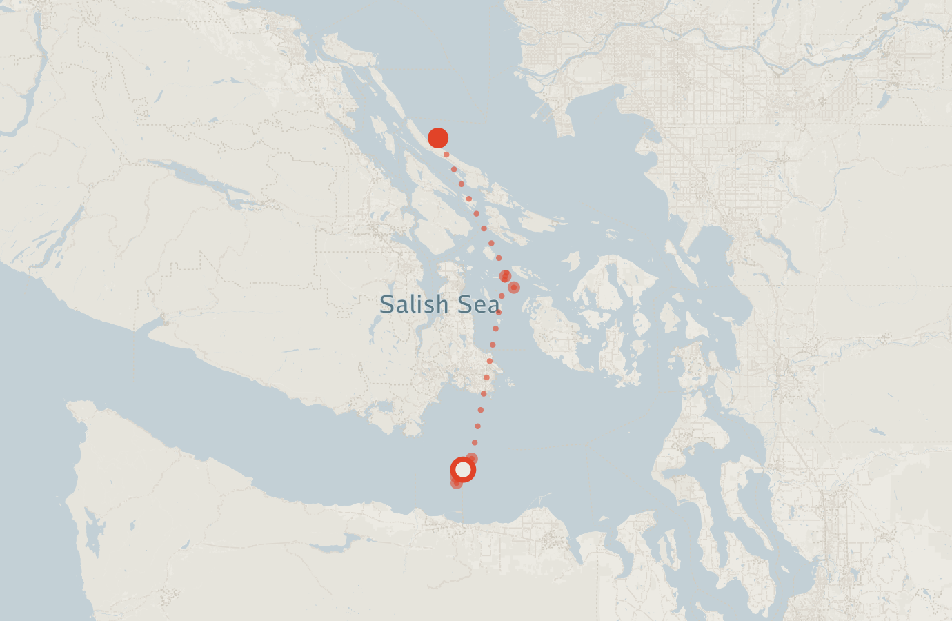 Activity map — real sighting points on an OpenStreetMap basemap
