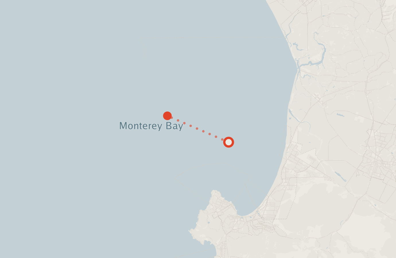 Activity map — real sighting points on an OpenStreetMap basemap
