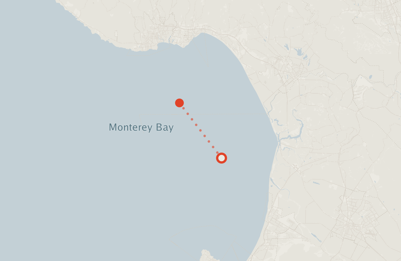 Activity map — real sighting points on an OpenStreetMap basemap