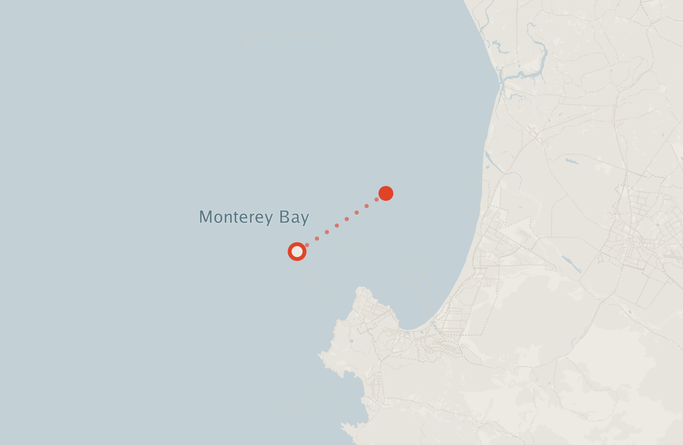 Activity map — real sighting points on an OpenStreetMap basemap
