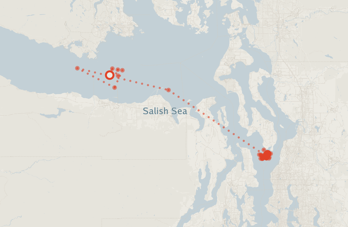 Activity map — real sighting points on an OpenStreetMap basemap