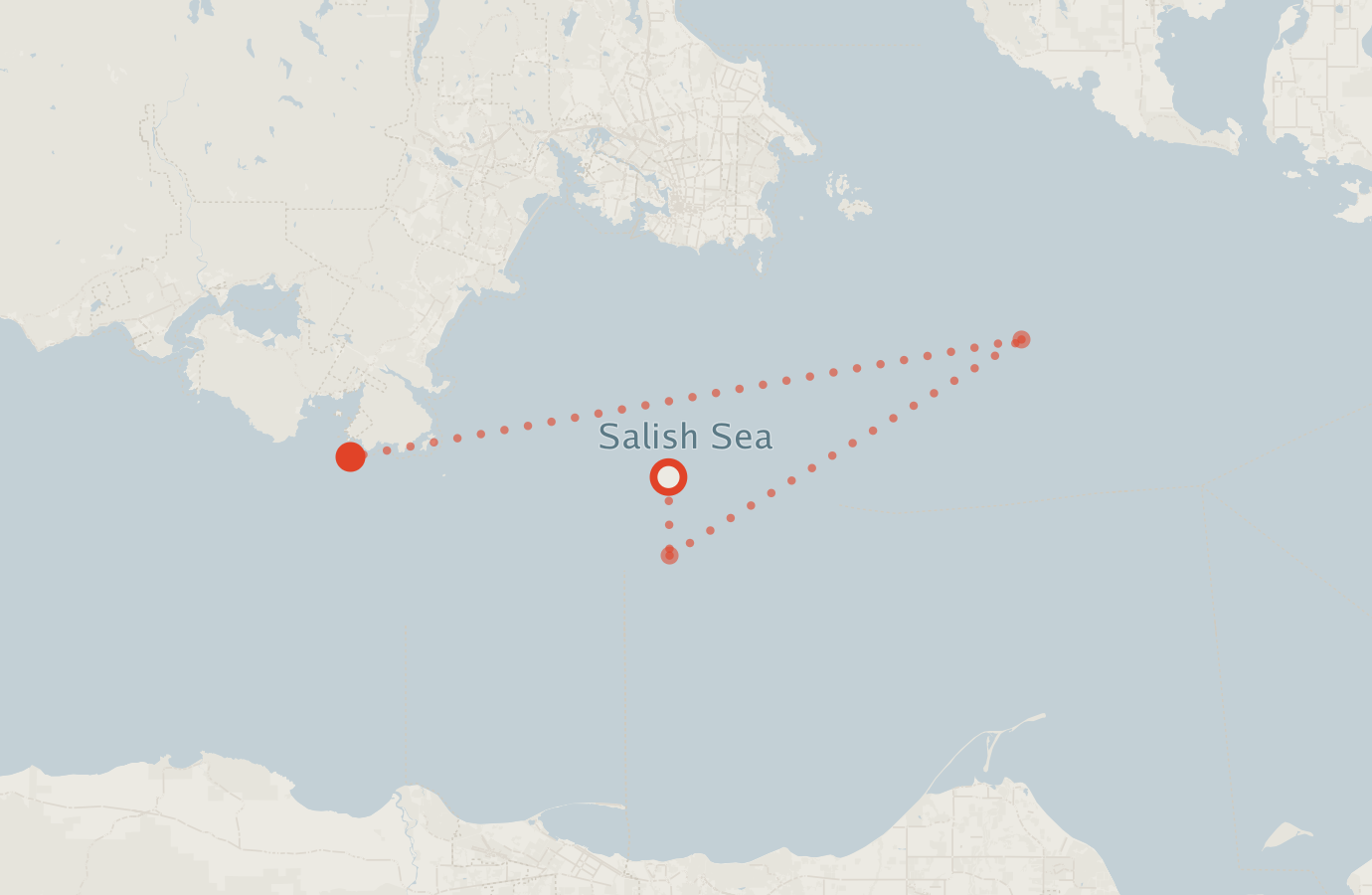 Activity map — real sighting points on an OpenStreetMap basemap