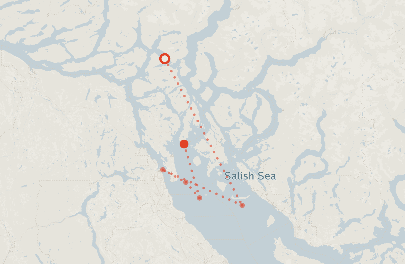 Activity map — real sighting points on an OpenStreetMap basemap
