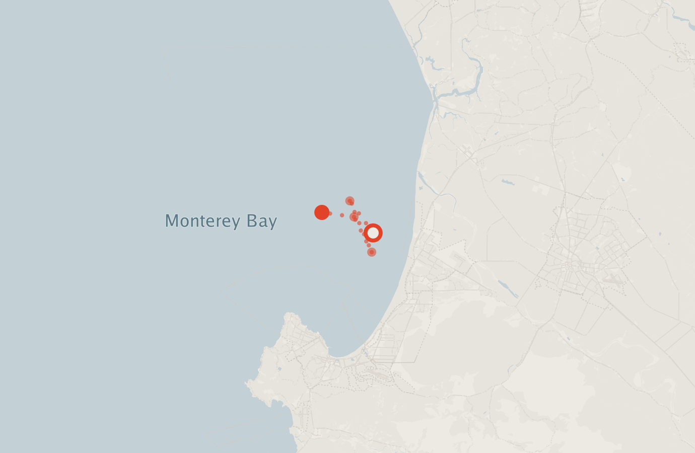 Activity map — real sighting points on an OpenStreetMap basemap