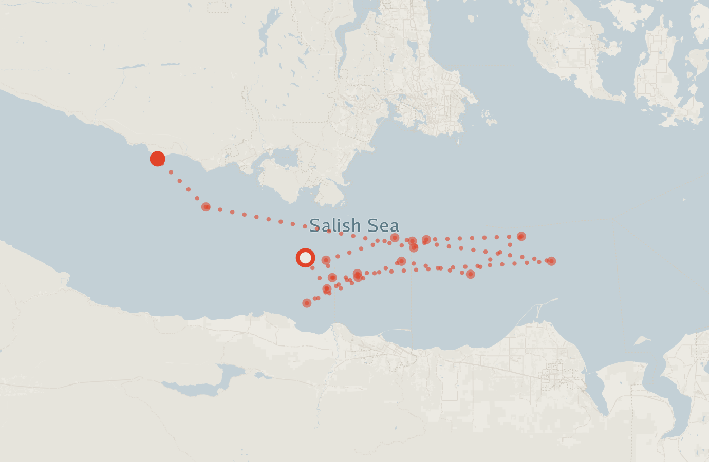 Activity map — real sighting points on an OpenStreetMap basemap