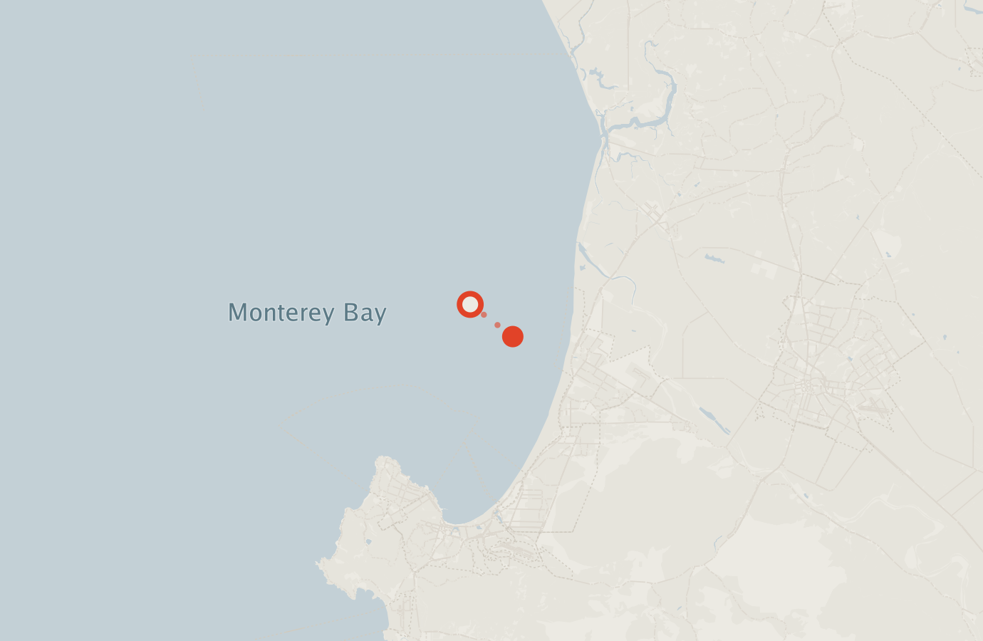 Activity map — real sighting points on an OpenStreetMap basemap