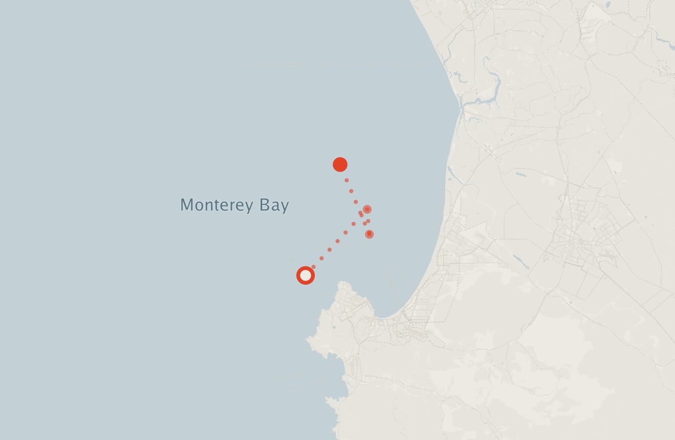 Activity map — real sighting points on an OpenStreetMap basemap