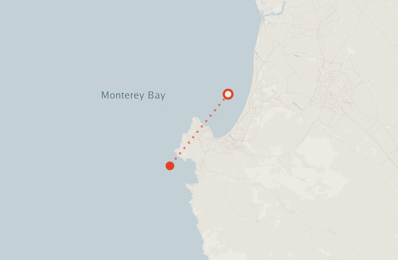 Activity map — real sighting points on an OpenStreetMap basemap