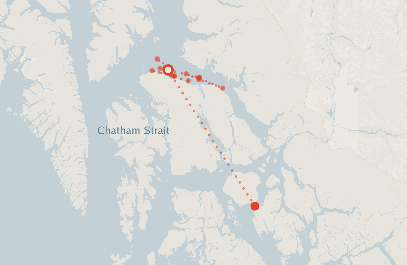 Activity map — real sighting points on an OpenStreetMap basemap
