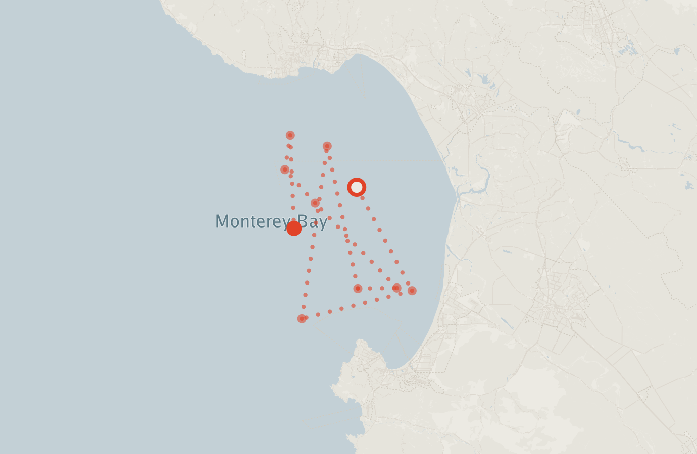 Activity map — real sighting points on an OpenStreetMap basemap