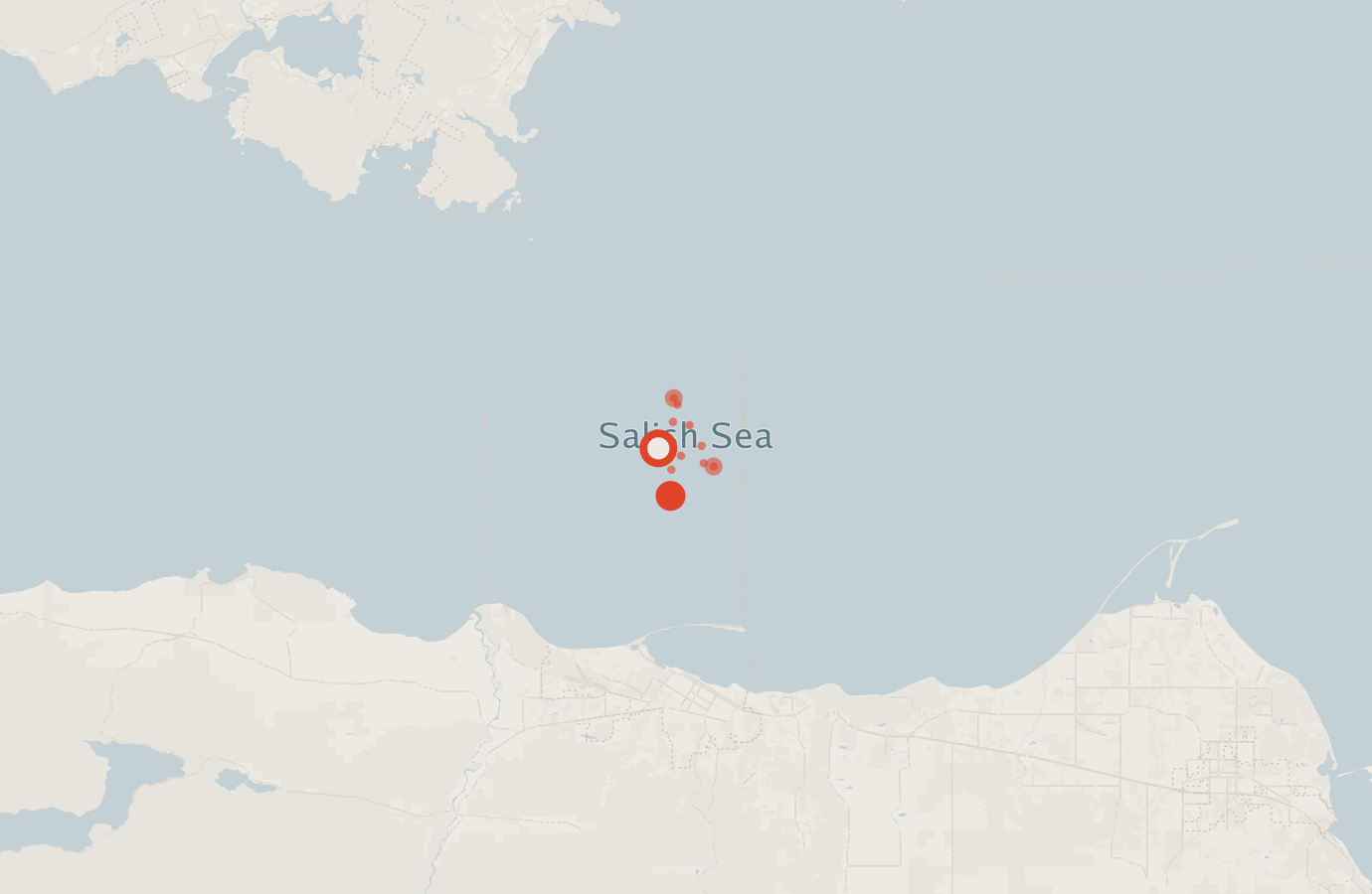Activity map — real sighting points on an OpenStreetMap basemap