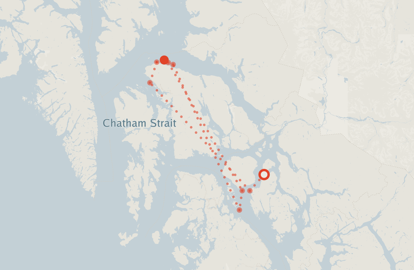 Activity map — real sighting points on an OpenStreetMap basemap