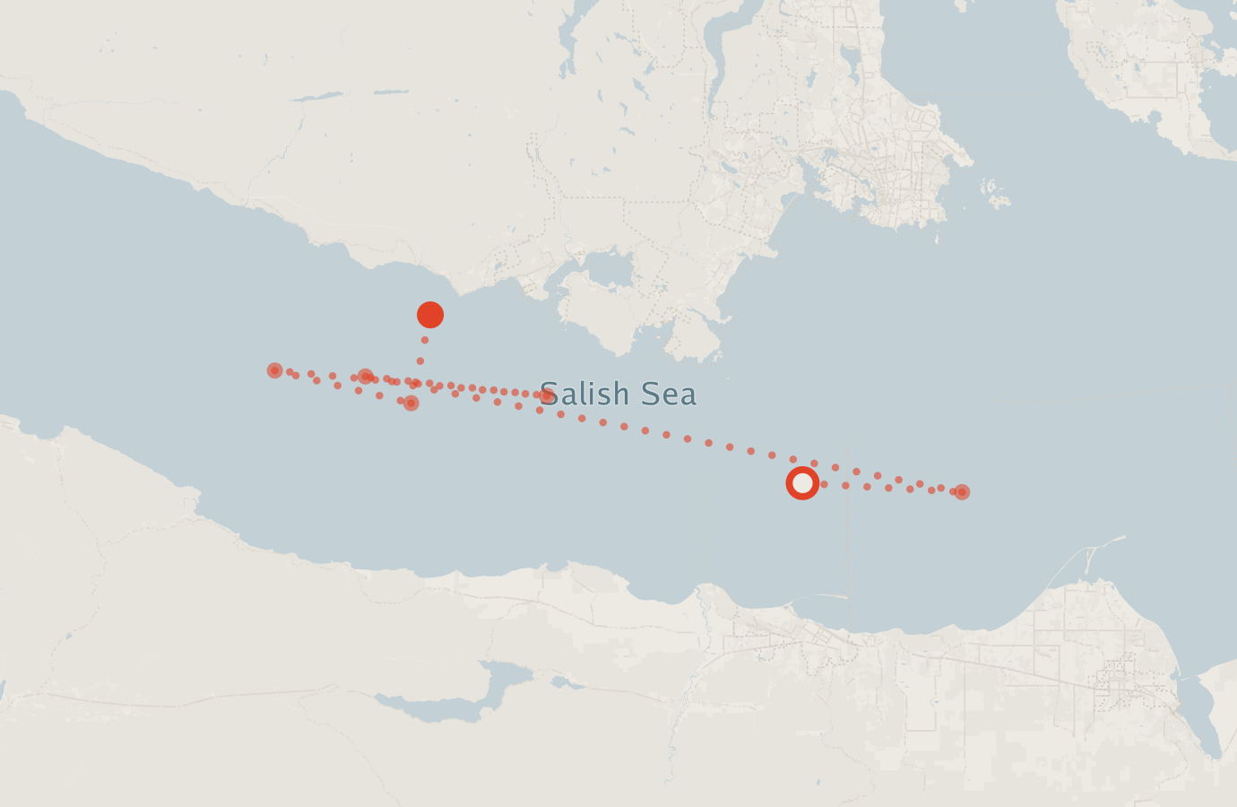 Activity map — real sighting points on an OpenStreetMap basemap