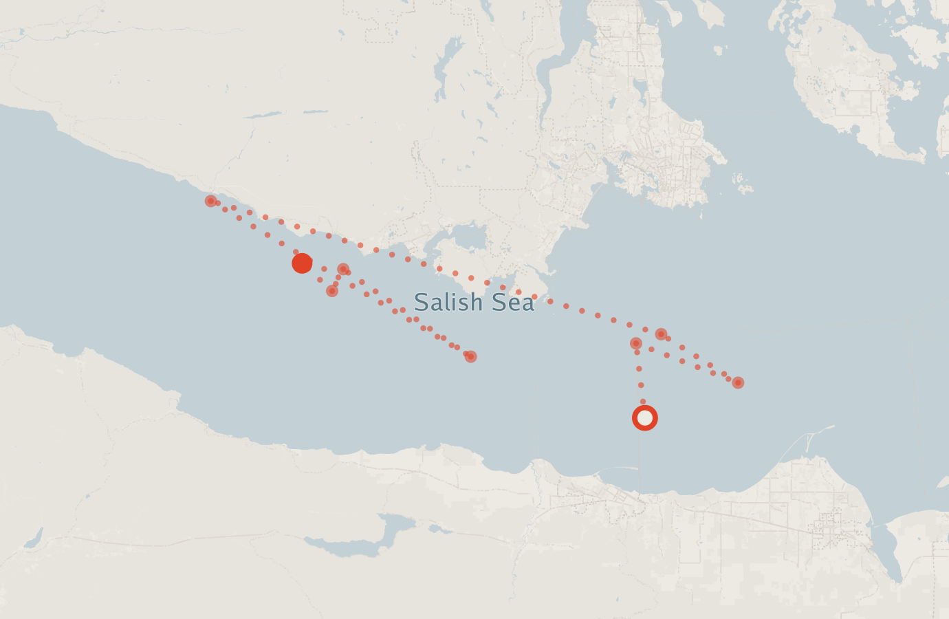 Activity map — real sighting points on an OpenStreetMap basemap