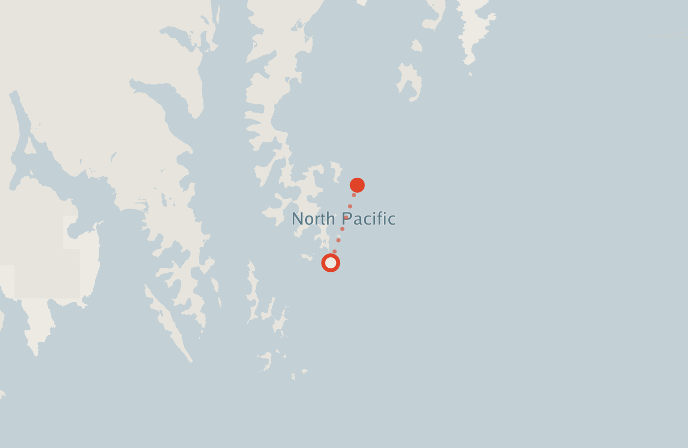 Activity map — real sighting points on an OpenStreetMap basemap