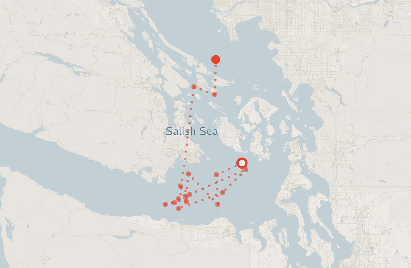 Activity map — real sighting points on an OpenStreetMap basemap