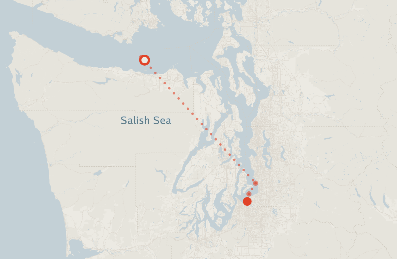 Activity map — real sighting points on an OpenStreetMap basemap