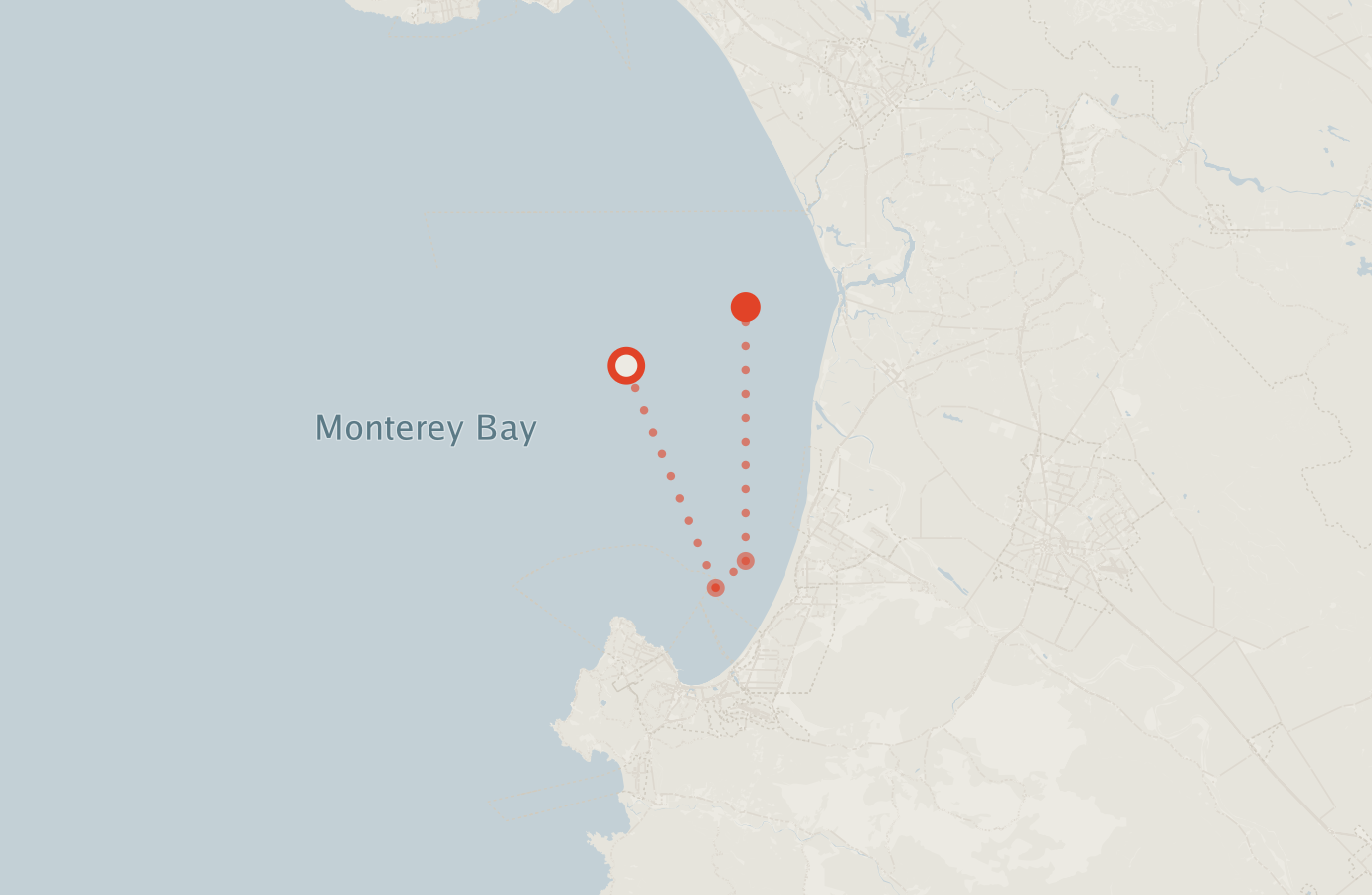 Activity map — real sighting points on an OpenStreetMap basemap